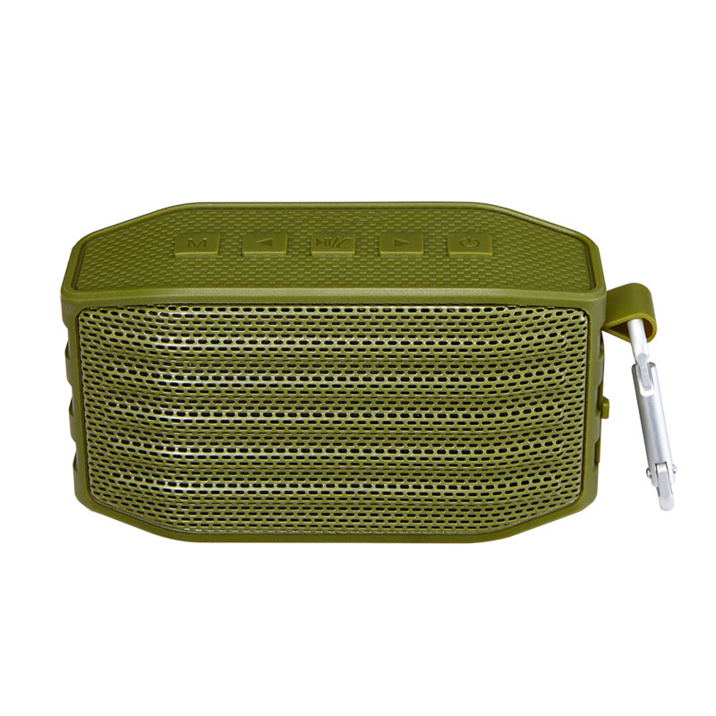 IPX5 BT Speaker -P2