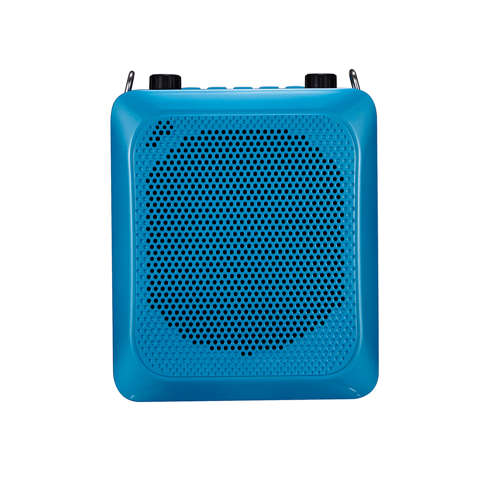30W Wired Voice Amp - S28
