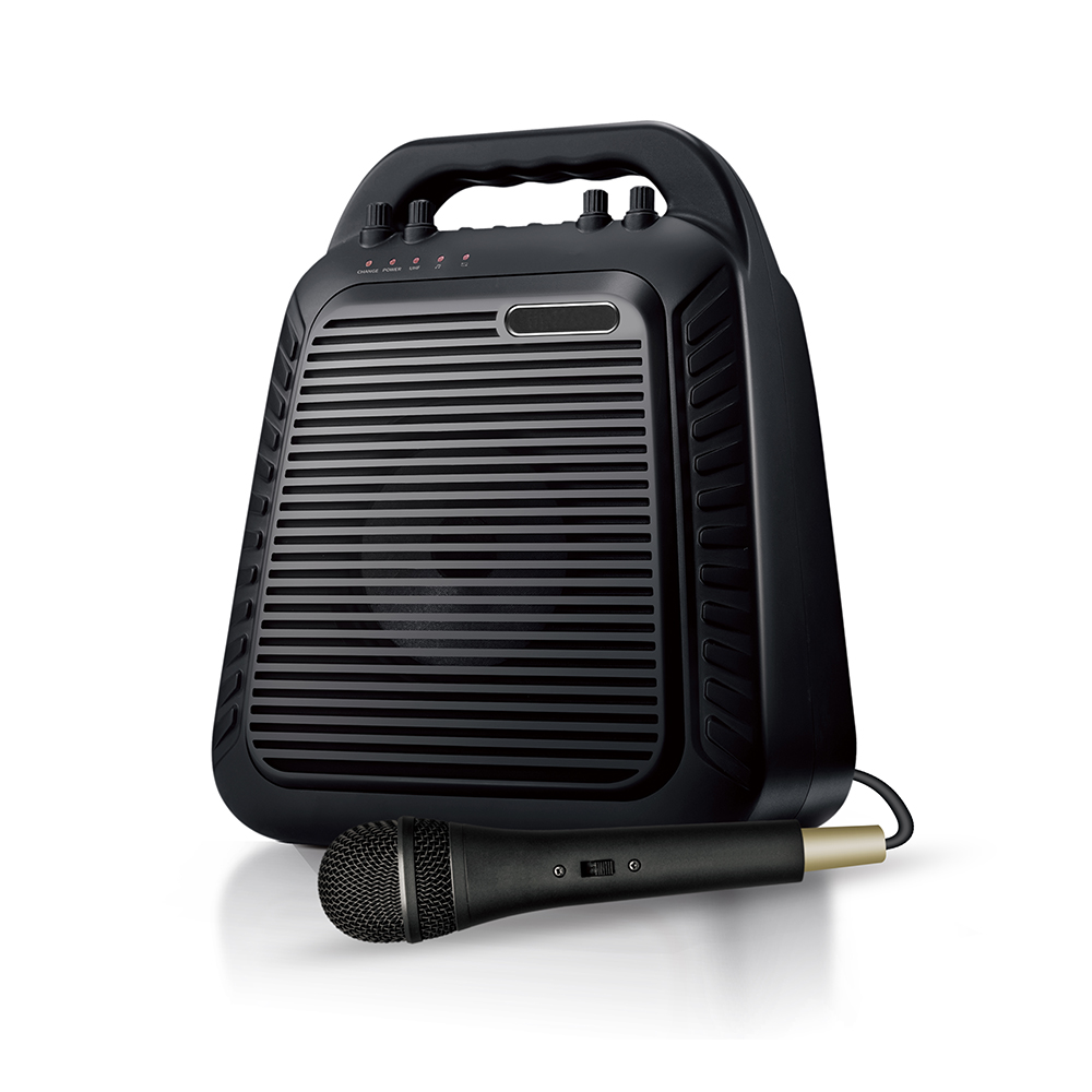 BT 4.2 Voice Amplifier - S90